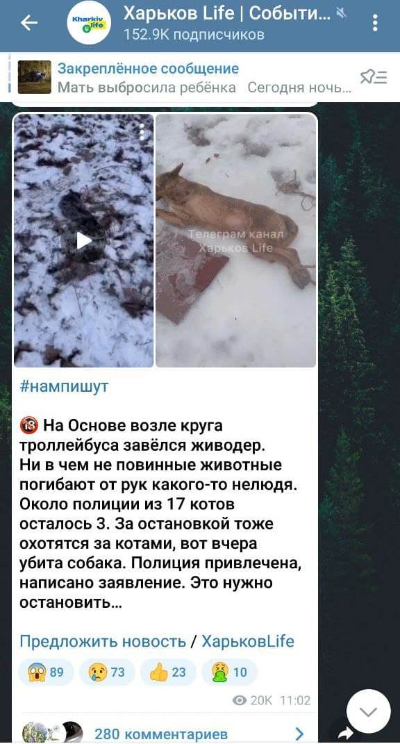 Полиция Харькова проверяет информацию об убийстве животных
