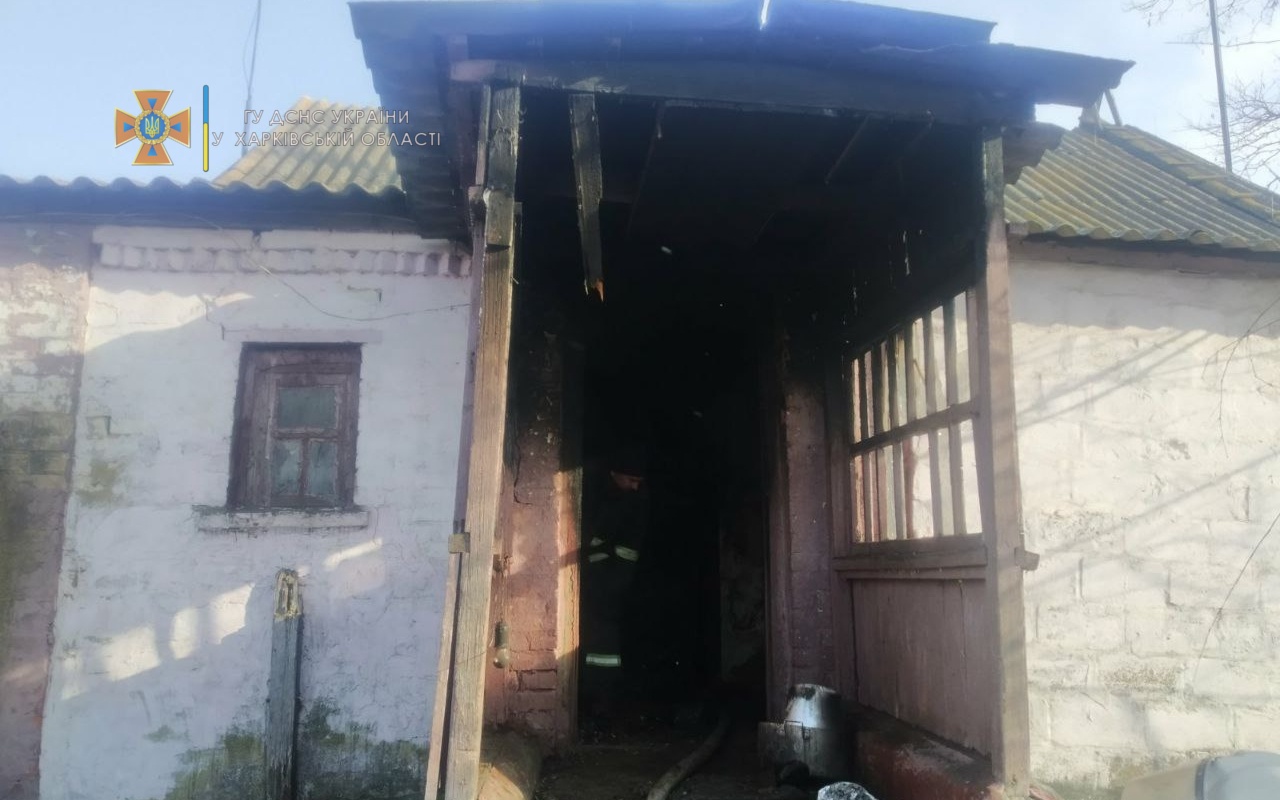 В пожаре в Лозовском районе погибли отец с сыном