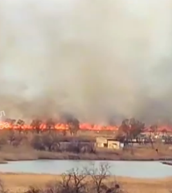 В Одесской области — масштабный пожар: горит территория национального парка