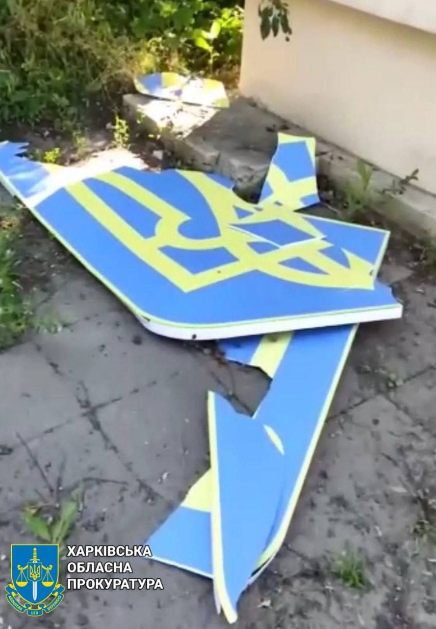 Публічна наруга над державним символом України: підозрюється чоловік