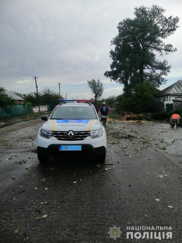 Наслідки негоди на Харківщині: повалені дерева та заблоковані дороги