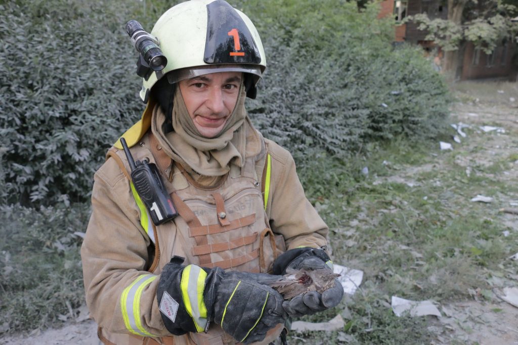 Кожне життя важливе: в Харкові вогнеборці врятували поранене пташеня