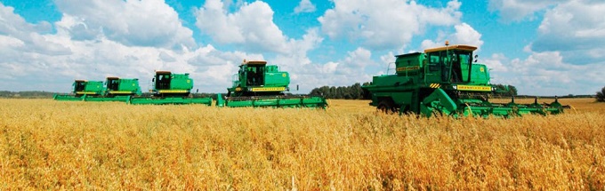 Урожай пшениці очікується на рівні 18–20 млн тонн