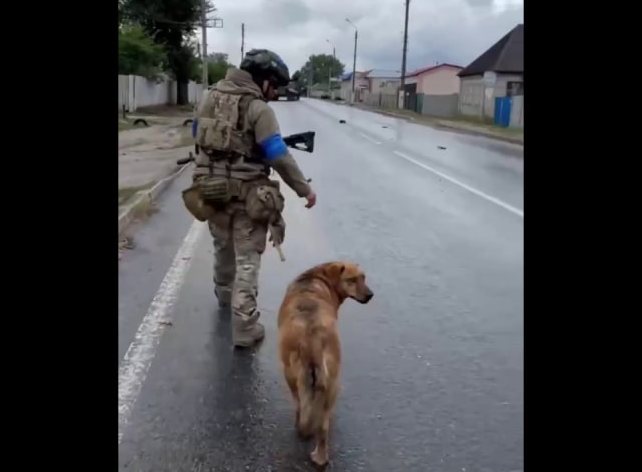 Бійці KRAKEN врятували у Куп’янську собаку: рудій тепер шукають дім