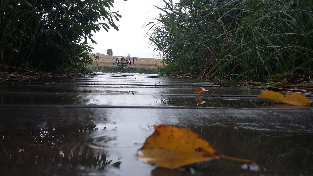 В Україну повертаються дощі: сухо буде лише в декількох областях