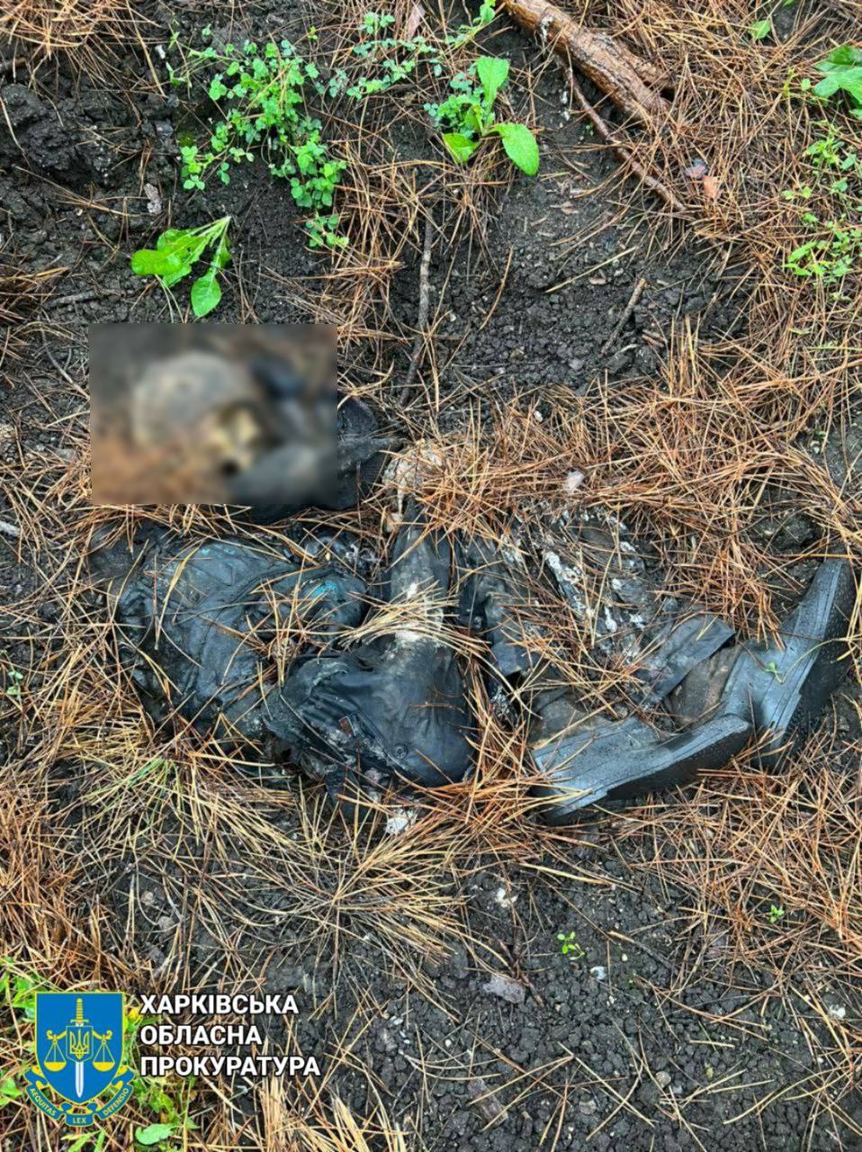 В лісопосадці під Ізюмом знайшли тіло закатованого цивільного