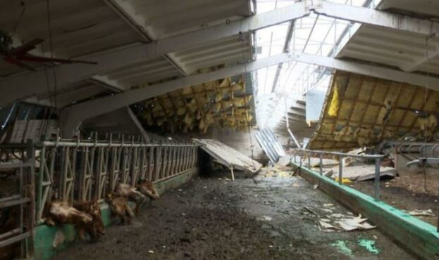 Окупанти знищили найбільшу в Україні молочну ферму