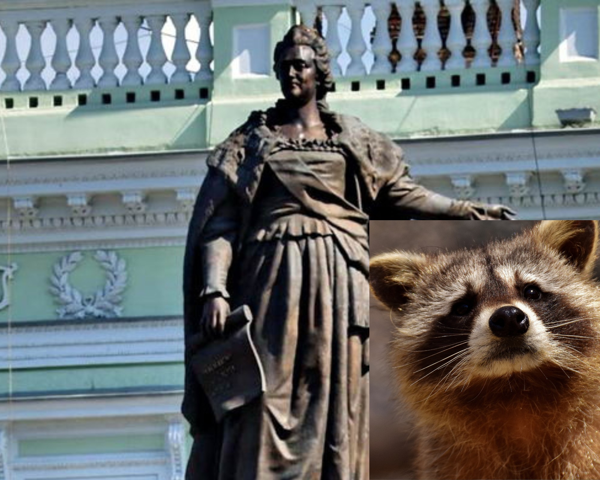 Єнота, украденого росіянами з Херсона, пропонують обміняти на одеський пам’ятник Катерині ІІ – петиція