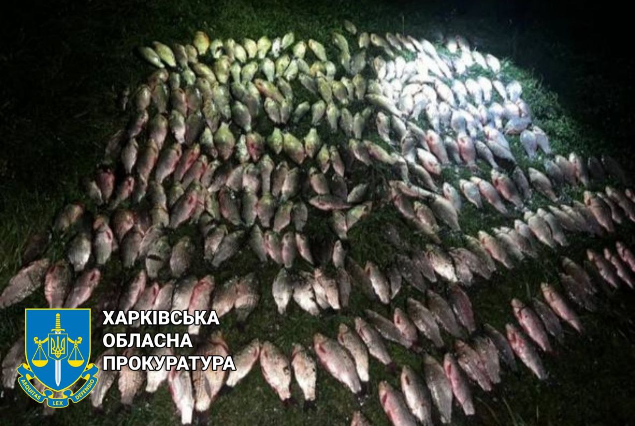 Незаконний вилов риби зі шкодою на суму майже півмільйона