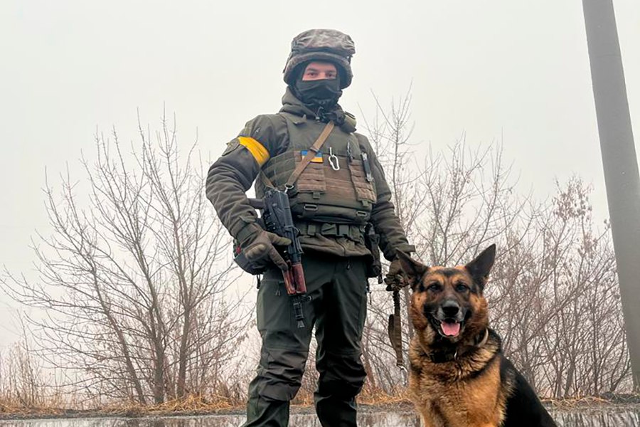 Ворог не пройде: на в’їзді в Харків перевіряє автівки нацгвардійський пес Аморек