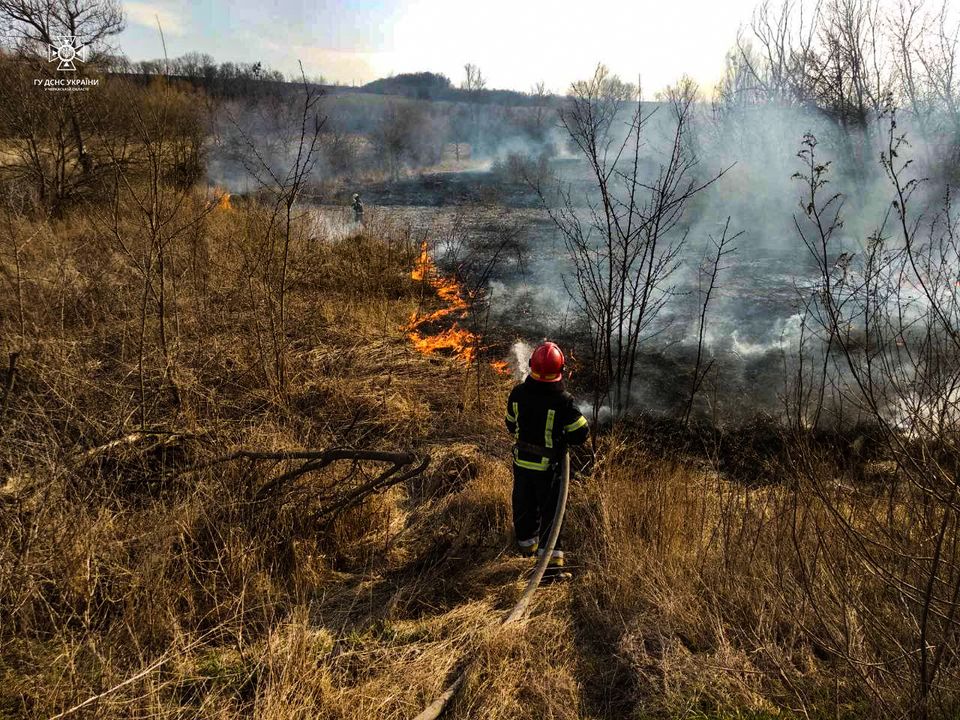 З 25 пожеж, що трапились за добу на Харківщині, 22 виникли у природних екосистемах: вогнем випалено 7,5 гектари