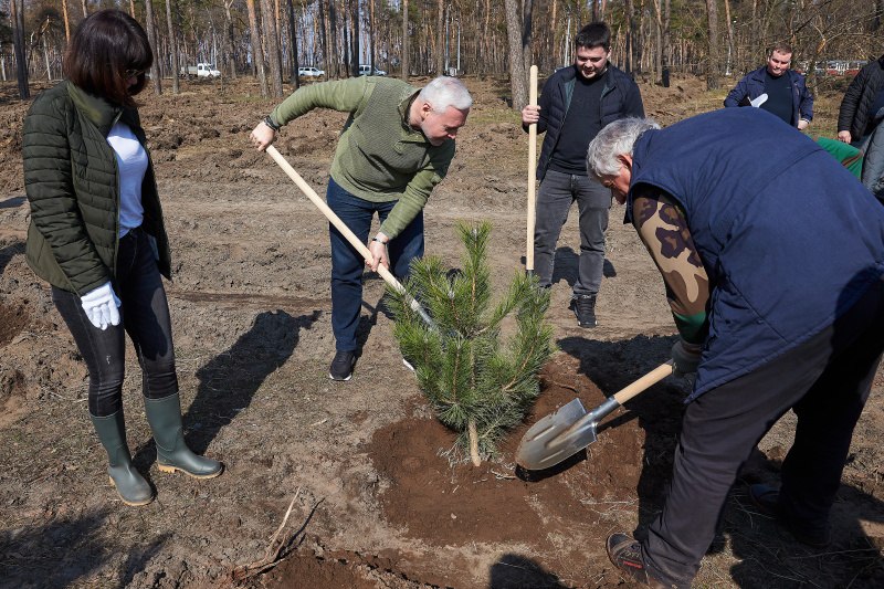 У Харкові у Журавлівському гідропарку висадять понад 20 тисяч дерев