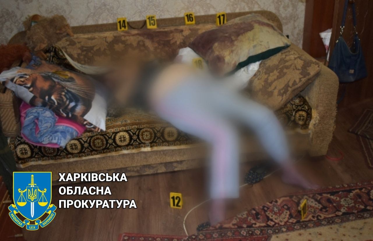 11 років позбавлення волі: на Харківщині чоловік вбив жінку
