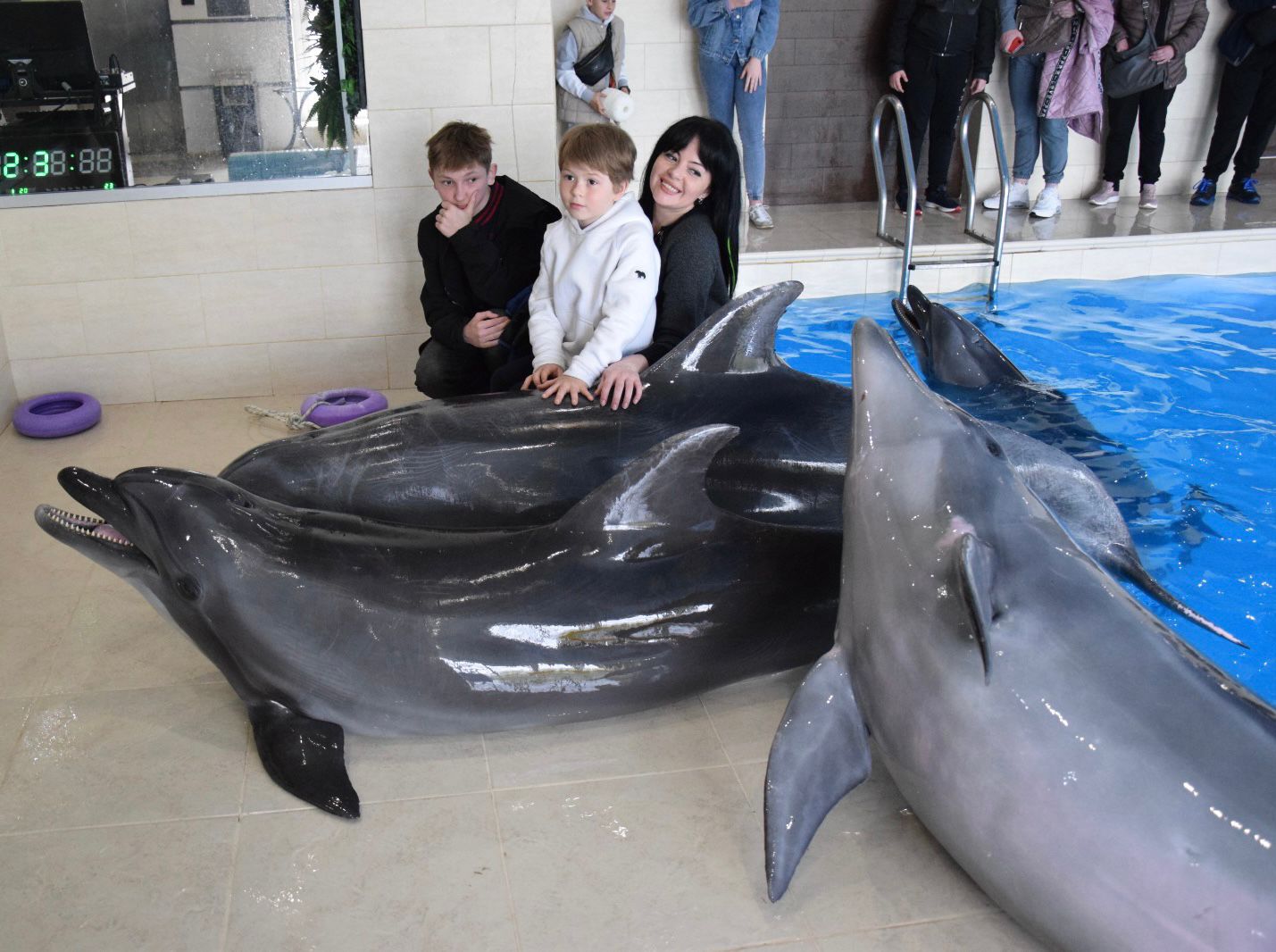 Діти прикордонників відвідали харківський дельфінарій