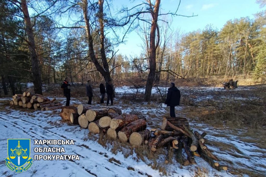 Шкода майже на пів мільйона гривень: викрито 3 чорних лісорубів на Харківщині