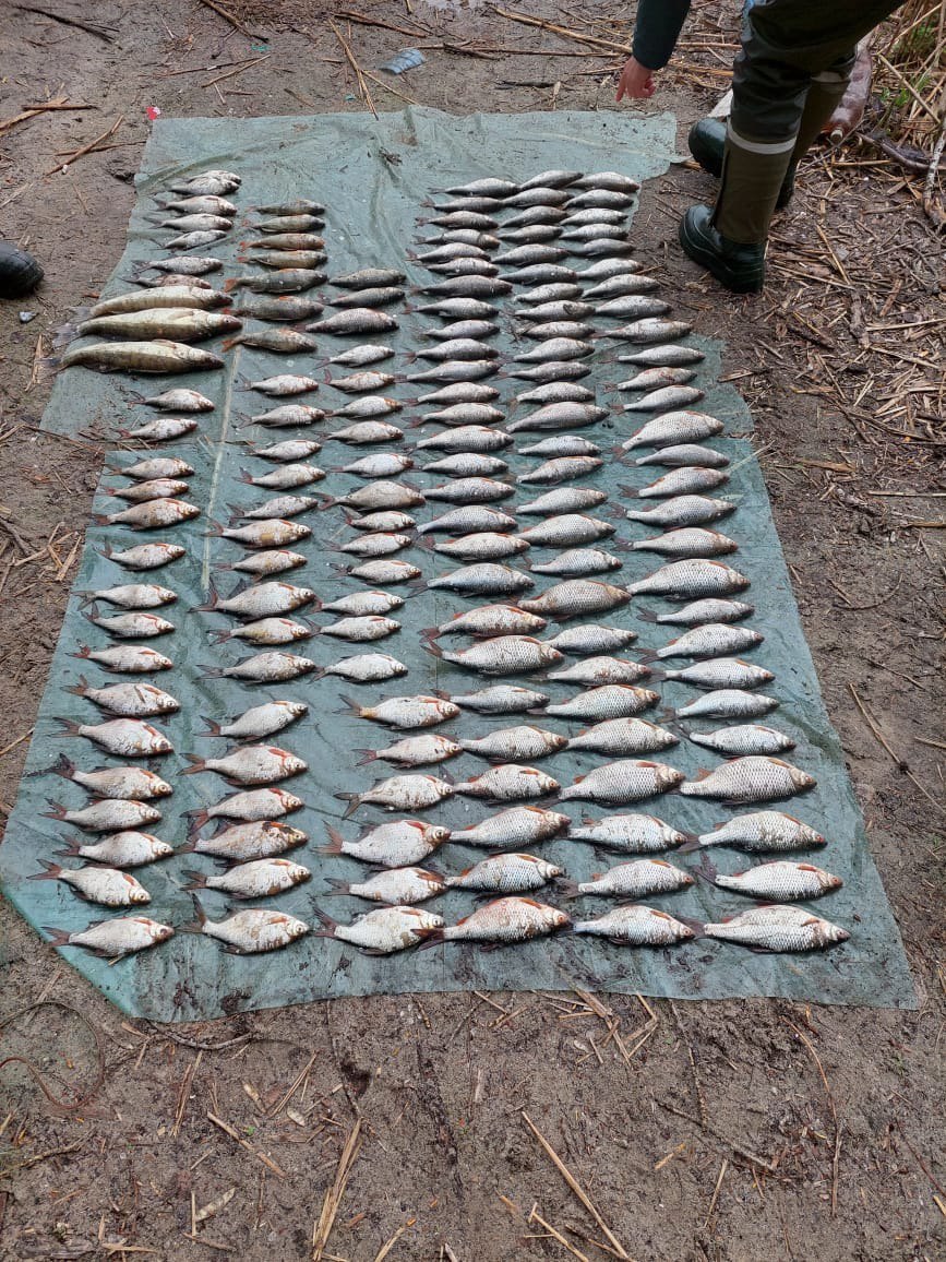 Ловив рибу під час нересту та завдав шкоди на 250 тисяч гривень: поліція викрила браконьєра