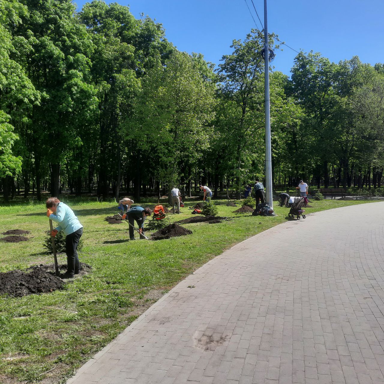 У Харківському парку волонтери допомагають висаджувати зелені насадження