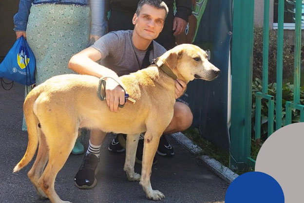Харків’янину повернули зниклого собаку через рік