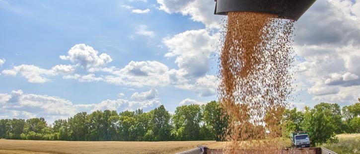 Підприємиця з Дніпра намагалася заволодіти зерном агрофірми на Харківщині: суд виніс вирок