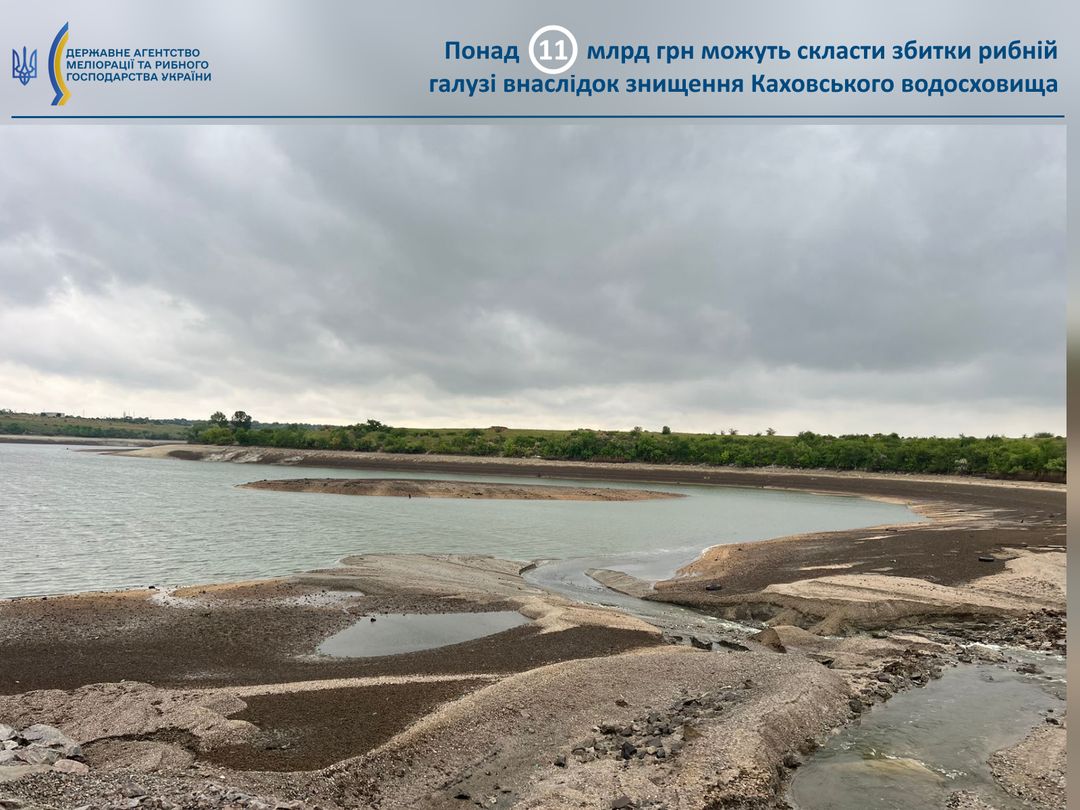 Знищення Каховського водосховища: збитки рибної галузі оцінюють у понад 11 мільярдів гривень