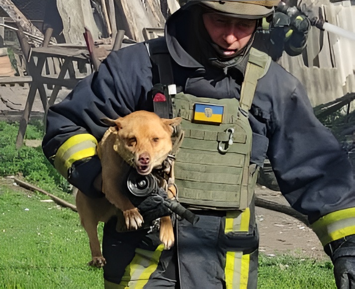 Куп’янський район: ДСНСники врятували собаку під час гасіння пожежі після обстрілів