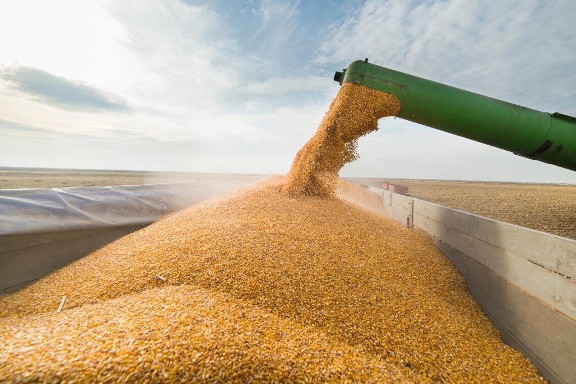 В Україні зібрано 11,2 млн тонн ранніх зернових культур