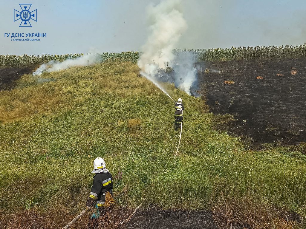 Горить пшениця в Красноградському районі: площа пожежі склала 20 га