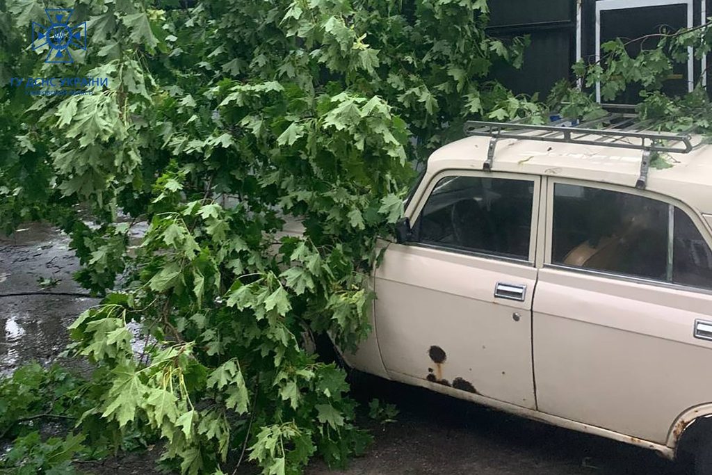 У Харкові під час грози впало 134 дерева: найбільше постраждали Салтівський та Немишлянський райони