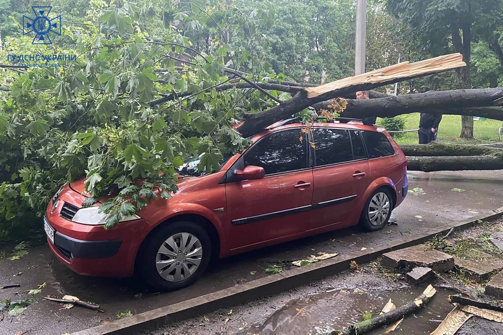 Негода у Харкові: рятувальники отримали 35 викликів на повалені дерева (фото)