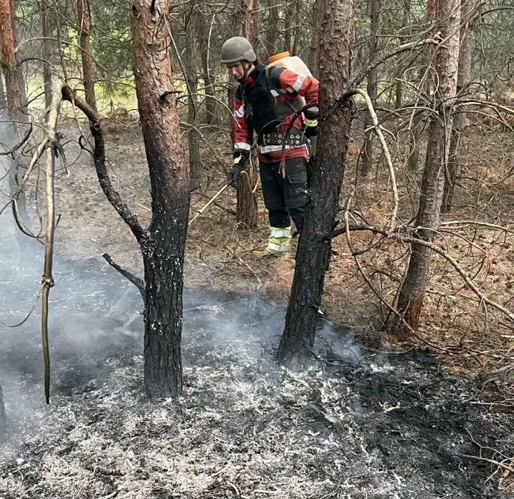 Рятувальники ліквідували пожежу у хвойному лісі Куп’янського району спричинену ворожими обстрілами