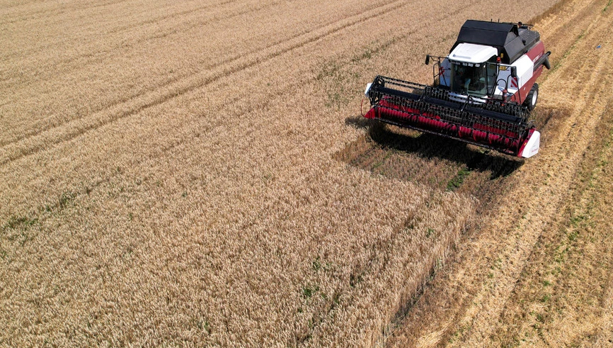 Мінагрополітики: погода сприяла майже рекордній урожайності зернових в Україні