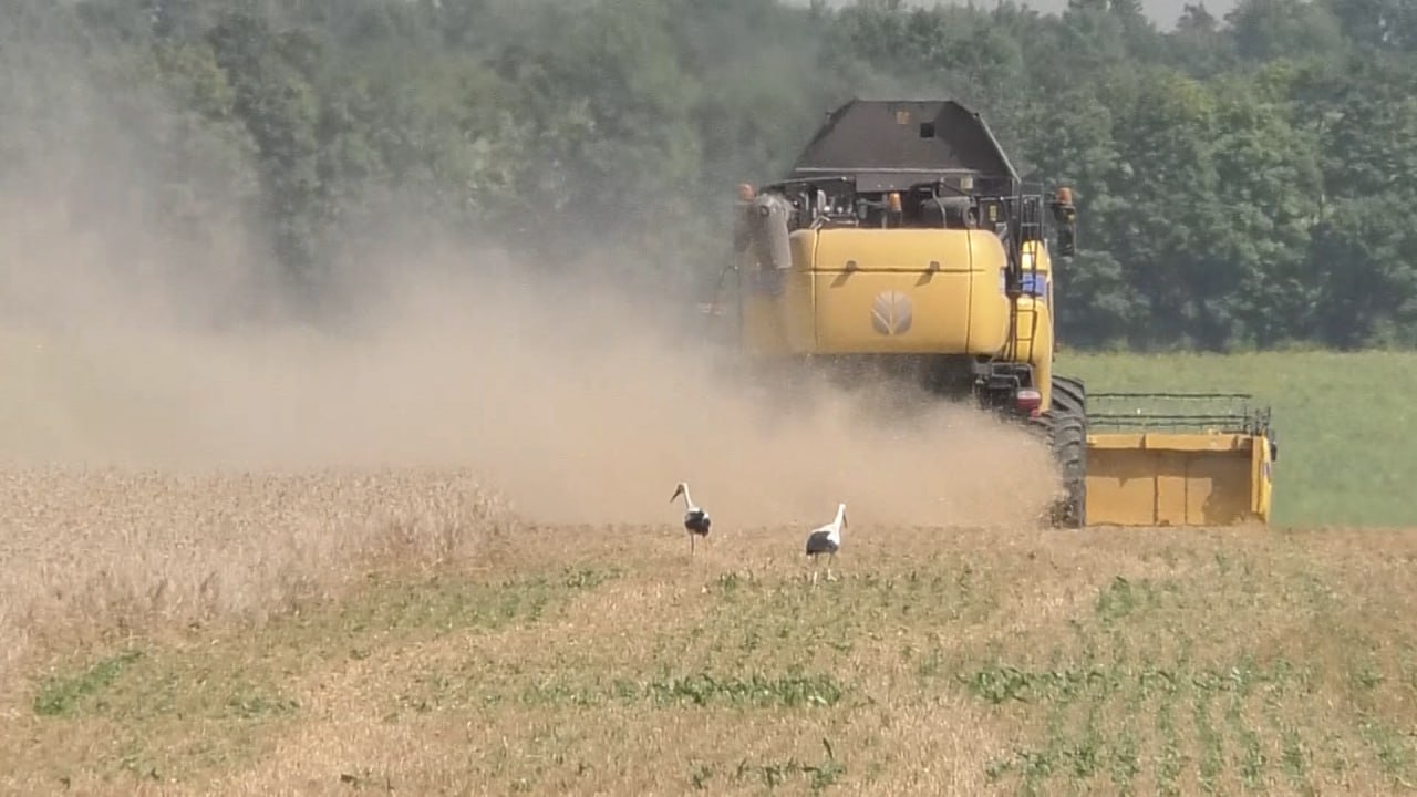 Горить пшениця: як на Харківщині збирають хліб під обстрілами