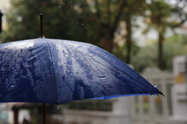 На Харківщині оголосили штормове попередження: синоптики попередили про дощі та грози