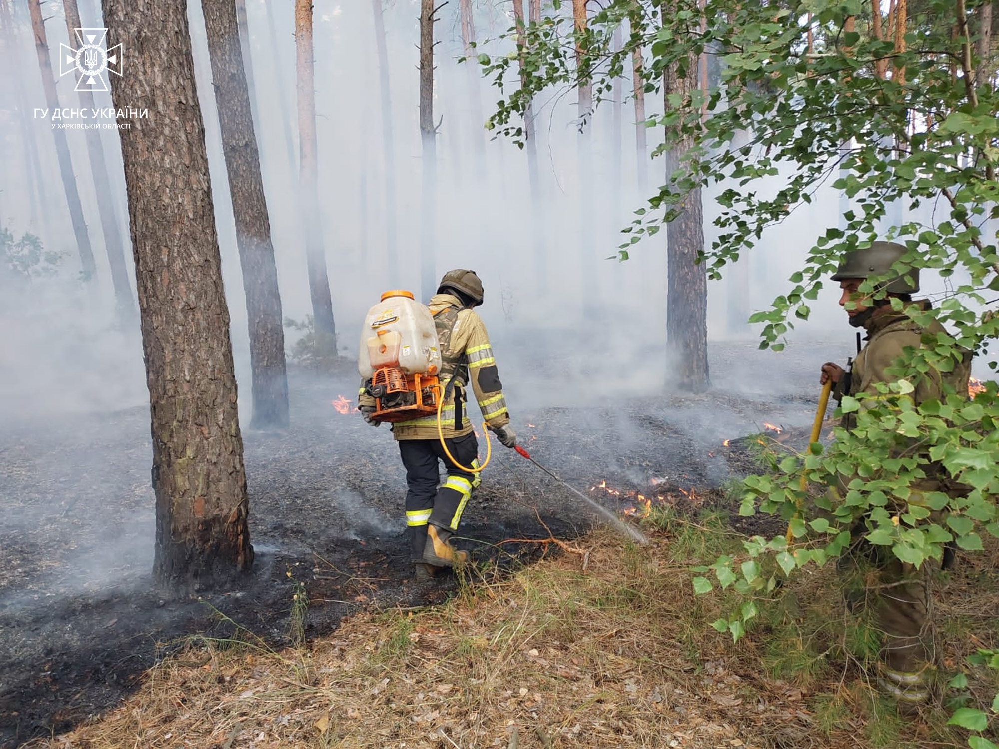 Через «влучний» постріл окупанті на Куп’янщині спалахнув ліс