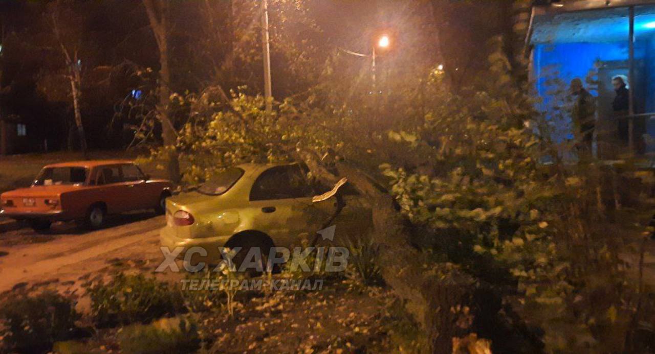 Понад 100 повалених дерев та 60 пошкоджених дахів: ситуація у Харкові станом на 20:00