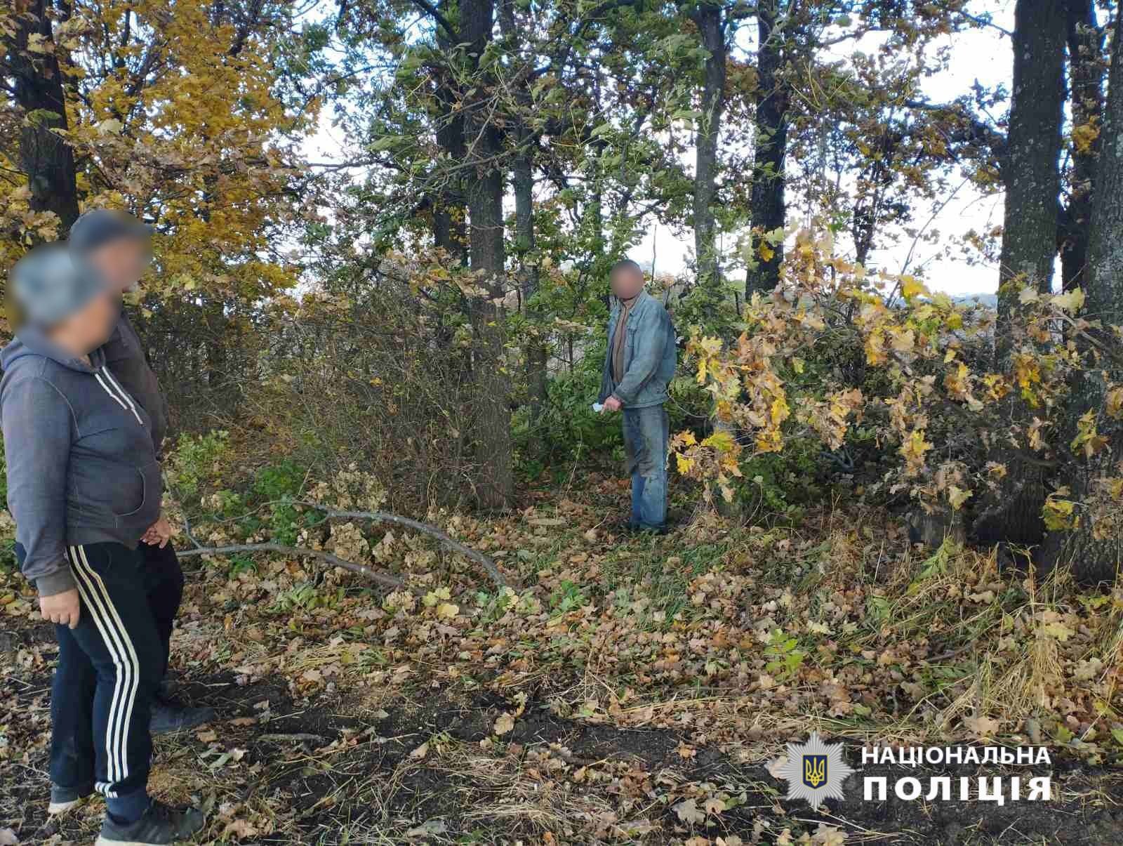 Нарубав дубів на 80 тисяч: на Харківщині поліція  викрила зловмисника