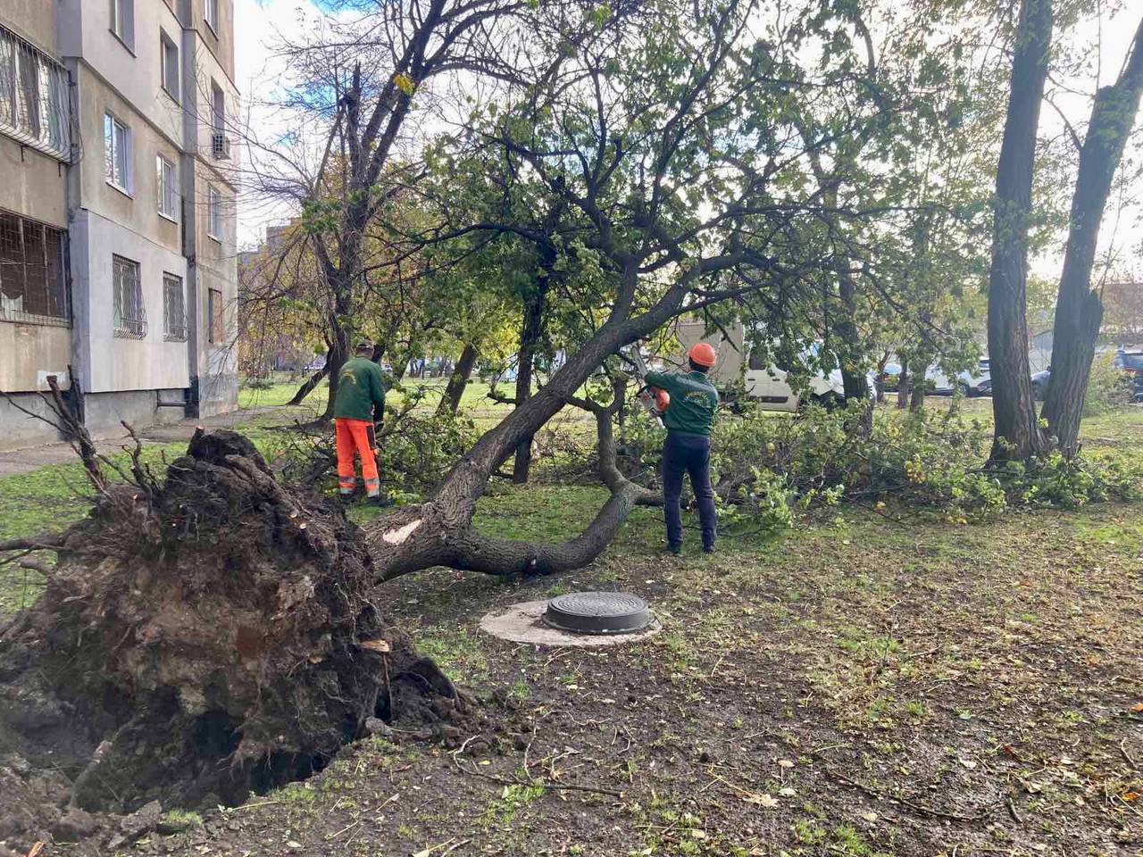 Наслідки буревію у Харкові: найбільше пошкоджених дерев у Салтівському районі
