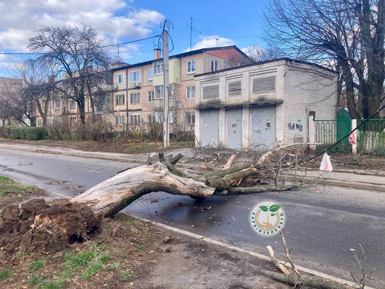 Повалені дерева та пошкоджені дахи: наслідки негоди у Харкові