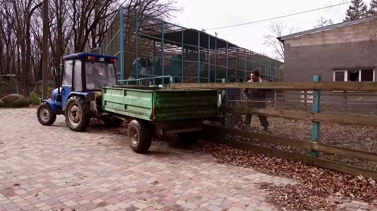 У харківському «Екопарку» готують домівки тварин до холодів
