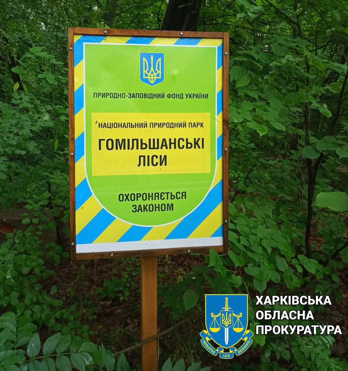На Харківщині незаконно передали у приватну власність ділянку у Гомільшанських лісах вартістю майже 3 млн грн