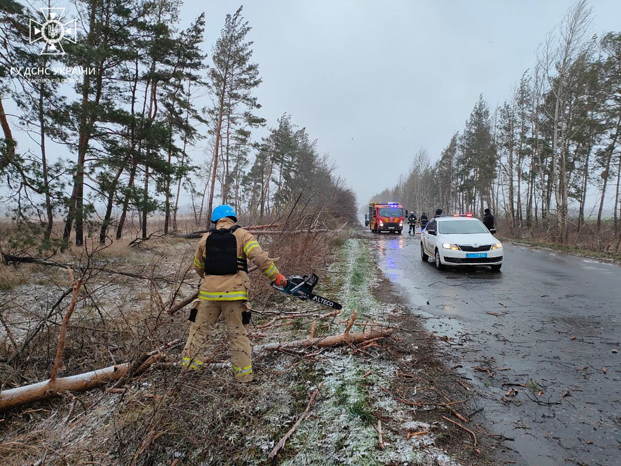 На Харківщині рятувальники розчистили трасу від повалених вітром дерев