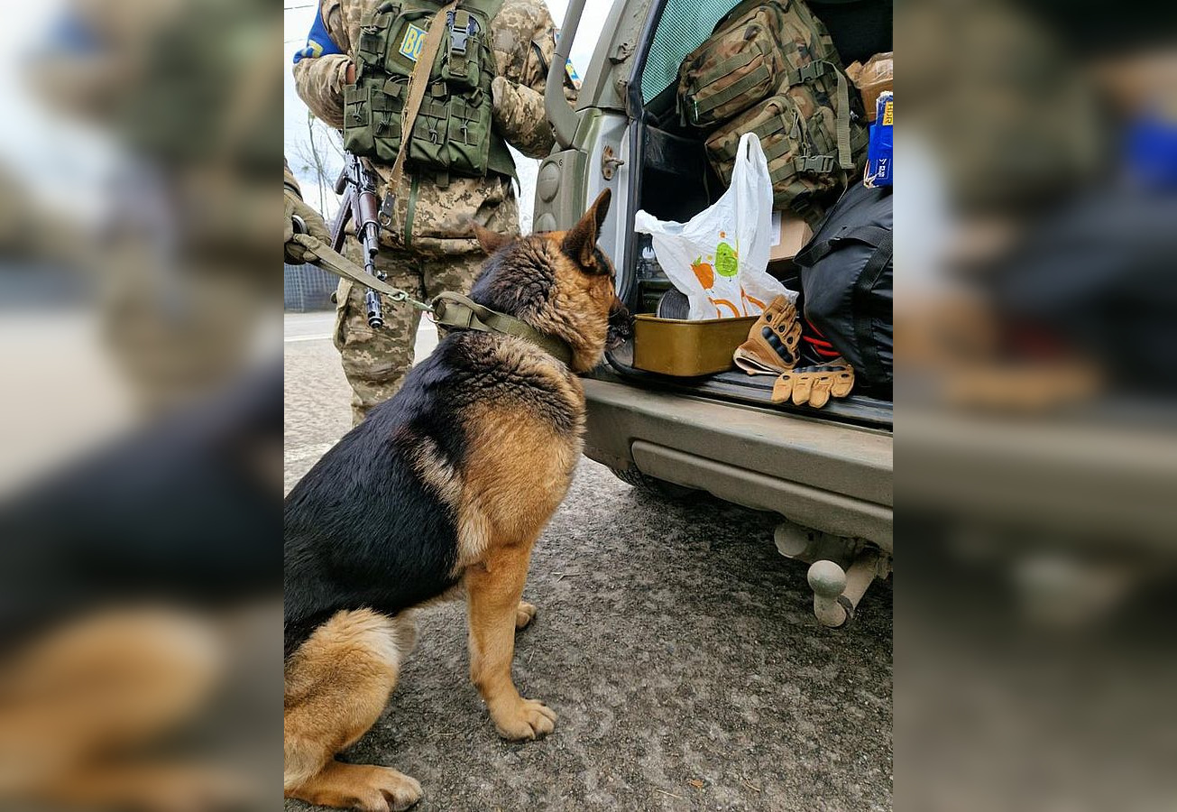 На в’їзді до Харкова службові собаки НГУ знайшли наркотики, боєприпаси, гранатомет