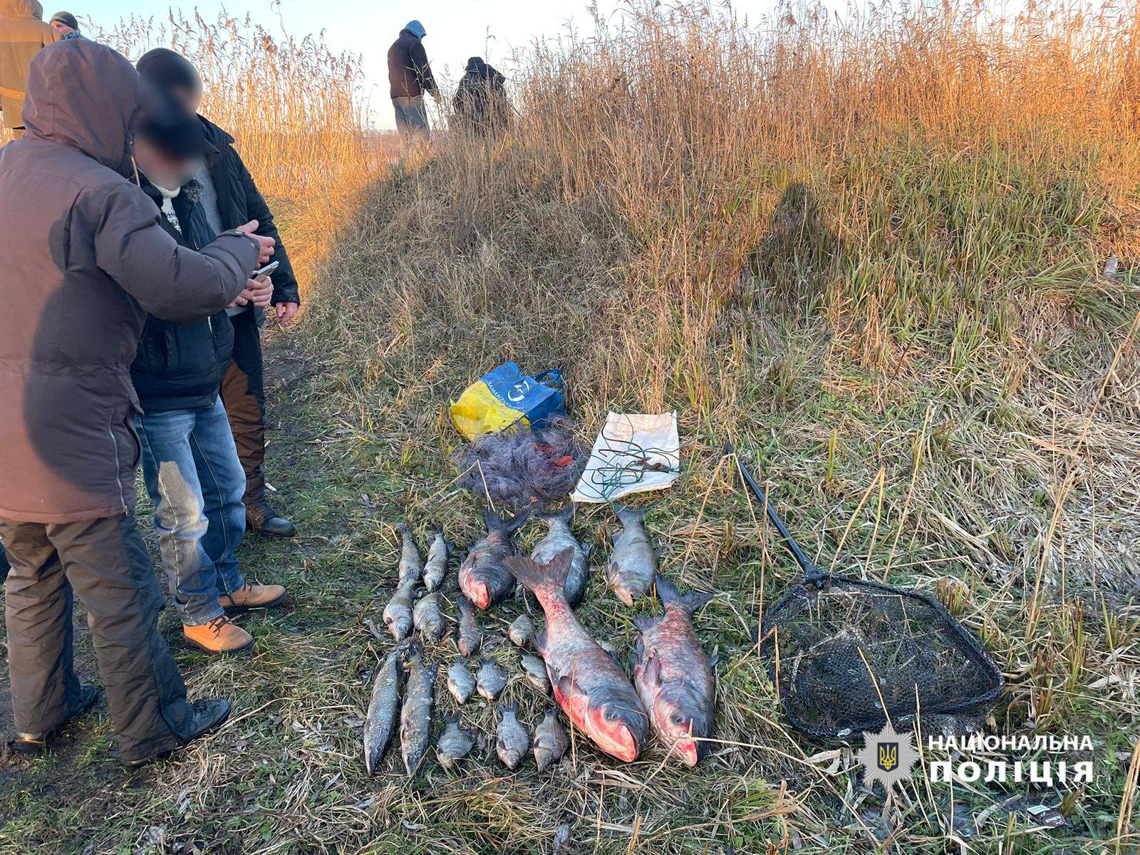 Наловили риби на 50 тисяч гривень: на Харківщині піймали браконьєрів