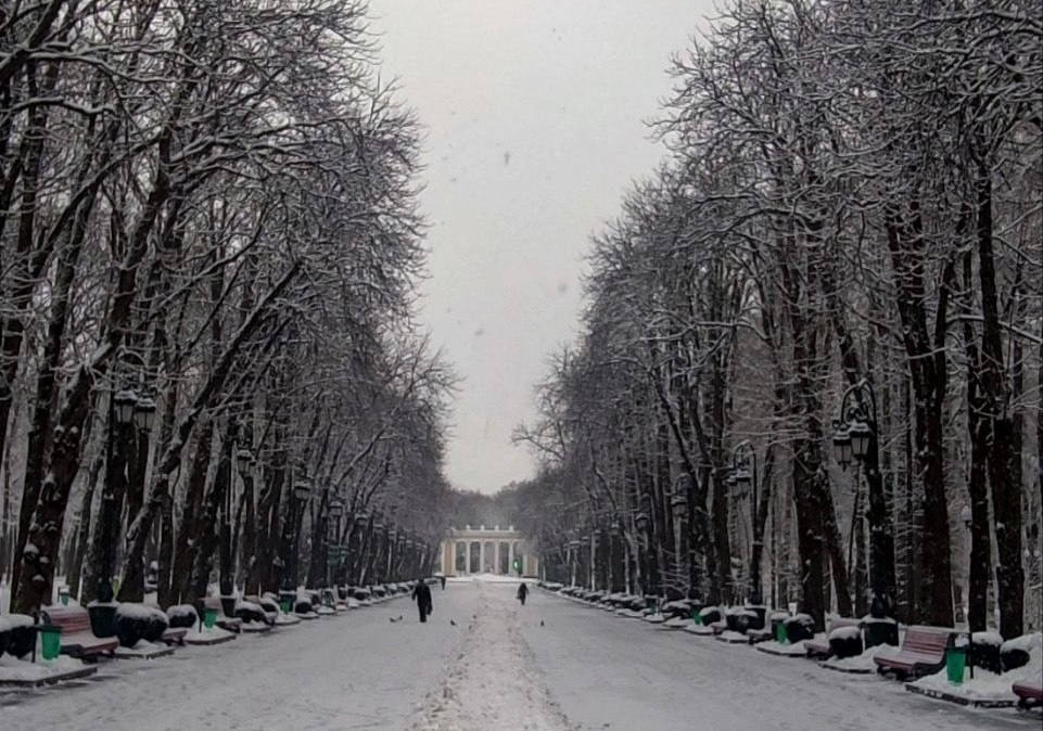 Невеликий сніг, до 4° морозу: погода по Харкову на 13 грудня