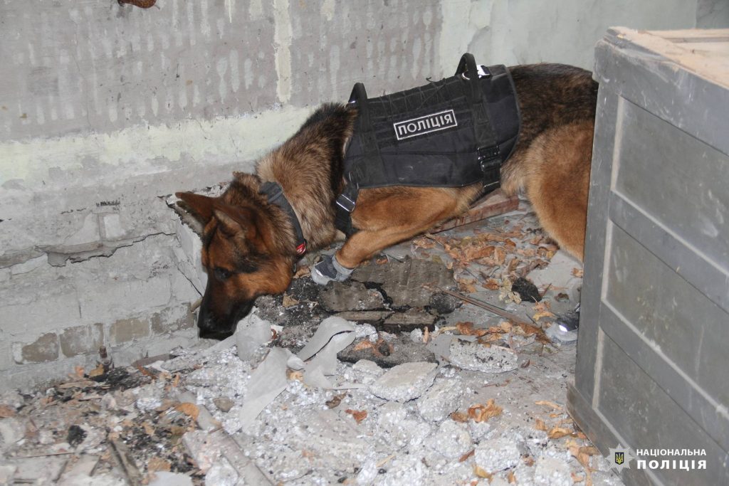 Харківські кінологи отримали 12 службових собак з Європи