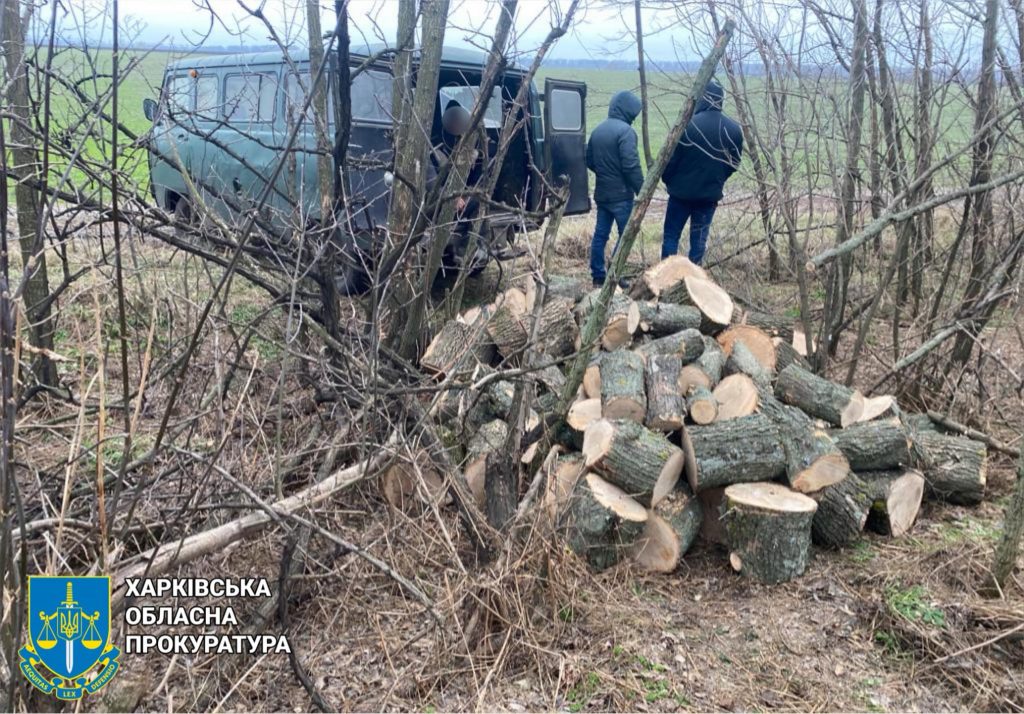 Нарубали дубів та ясенів на 1,6 млн грн: на Харківщині викрито групу чорних лісорубів