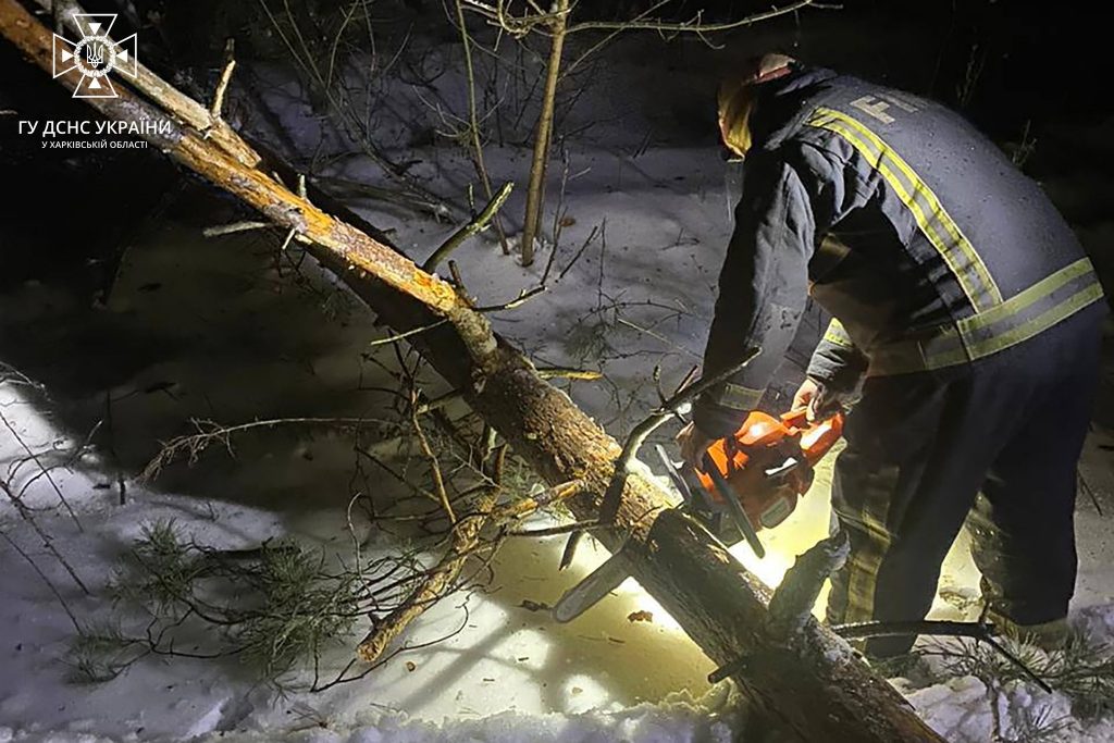 У Харківській області рятувальники розчищали трасу від повалених дерев