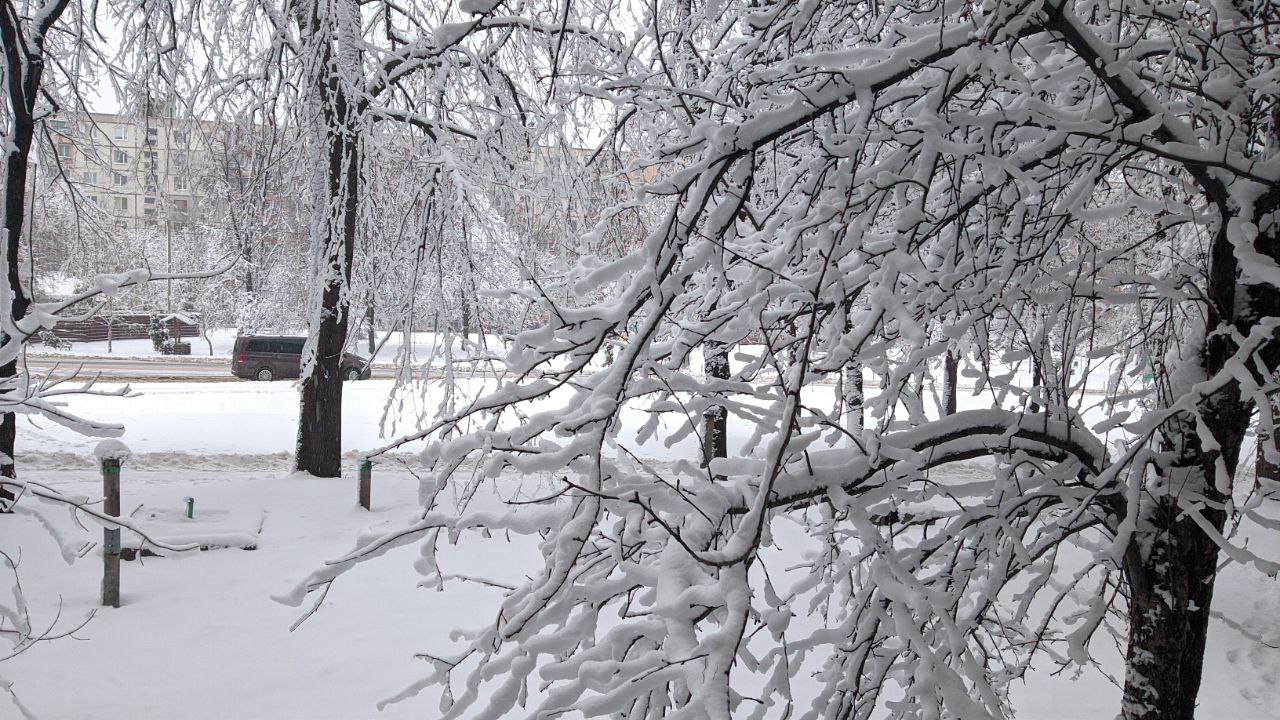 Прогноз погоди на день по Харкову на 14 грудня