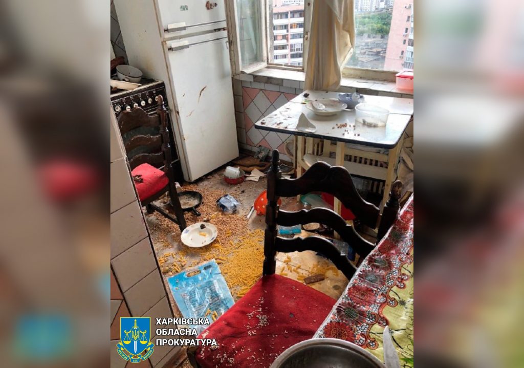 Покинула 1,5-річну доньку одну у квартирі без їжі та води: у Харкові в 19-річної горе-матері відібрали дитину