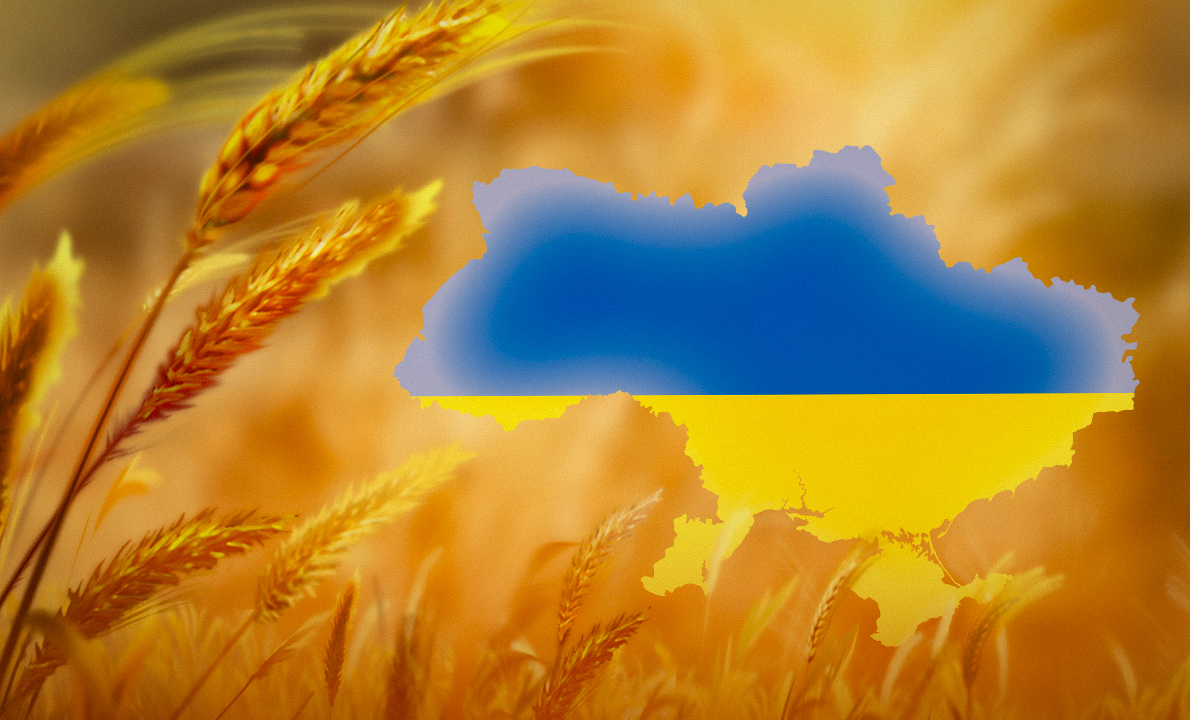 Сьогодні Україна відзначає День Соборності: Президент привітав українців зі 105 річницею
